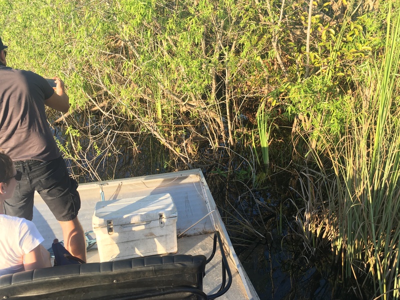 airboat ride near me